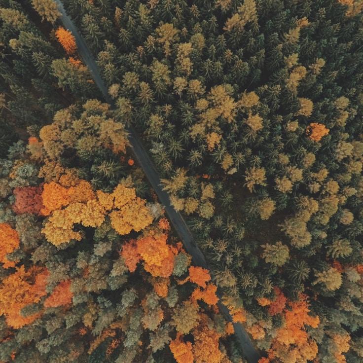 Nature travel hero image